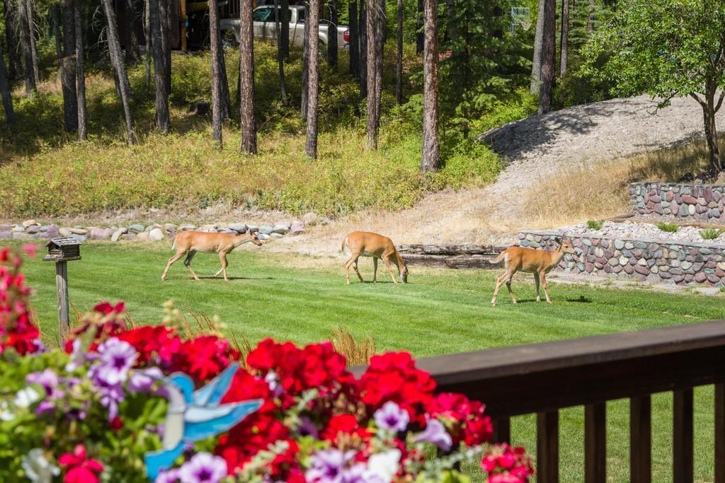 Meadow Lake View Bed And Breakfast Columbia Falls Εξωτερικό φωτογραφία